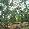 Hutan Wisata Wae Bobok Labuan Bajo Kini Punya Wahana Outbound 