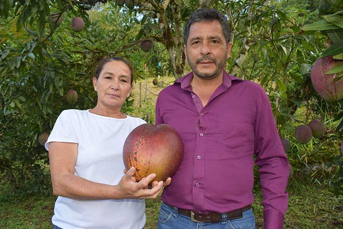 Germán Orlando Novoa Barrera dan Reina Maria Marroquín