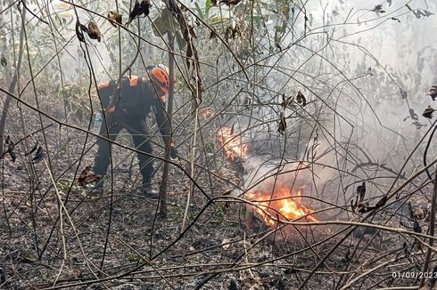 Hutan Pendidikan IPB di Gunung Walat Sukabumi Terbakar