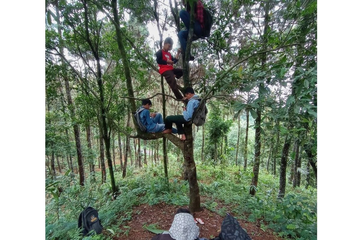 Siswa MTs Pakis, Dusun Pesawahan, Desa Gununglurah, Kecamatan Cilongok, Banyumas, Jawa Tengah mencari sinyal provider di hutan, Senin (1/12/2020)