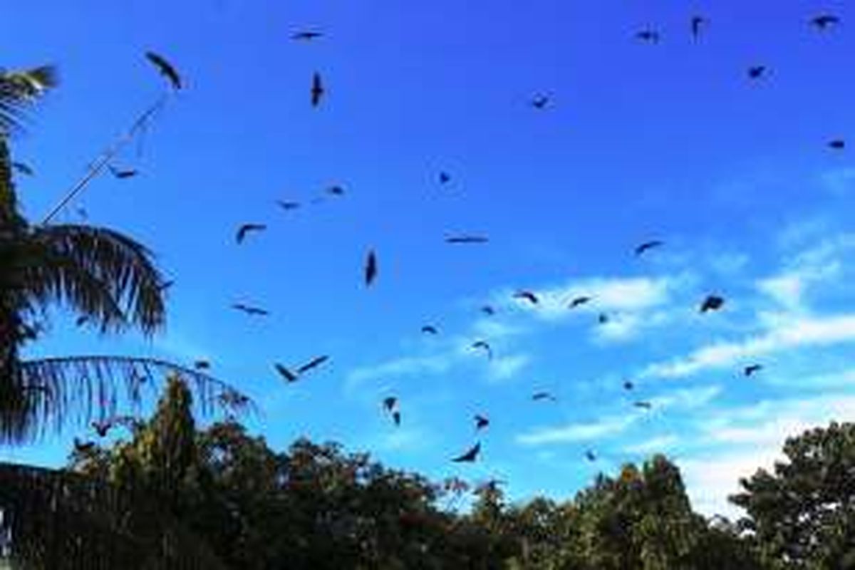 Langit Soppeng, 