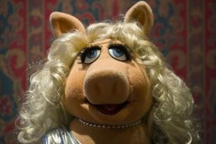 Miss Piggy menjadi salah satu dari 20 boneka seri TV The Muppet Show, Sesame Street, dan Fraggle Rock yang masuk The Smithsonian National American History Museum di Washington DC, 24 September 2013 waktu setempat.