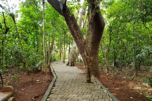 Pertahankan Adipura, Pemkot Jaktim Siagakan PJLP di Tiap Hutan Kota