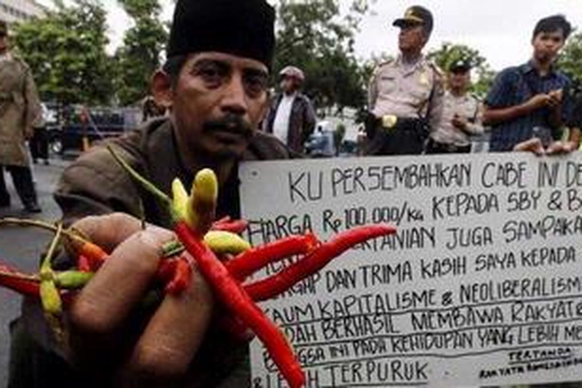 Salah satu aktivis Gerakan Rakyat Indonesia, Adang (46), membawa cabai saat unjuk rasa di depan Istana Negara, Jakarta Pusat, Selasa (11/1/2011).  