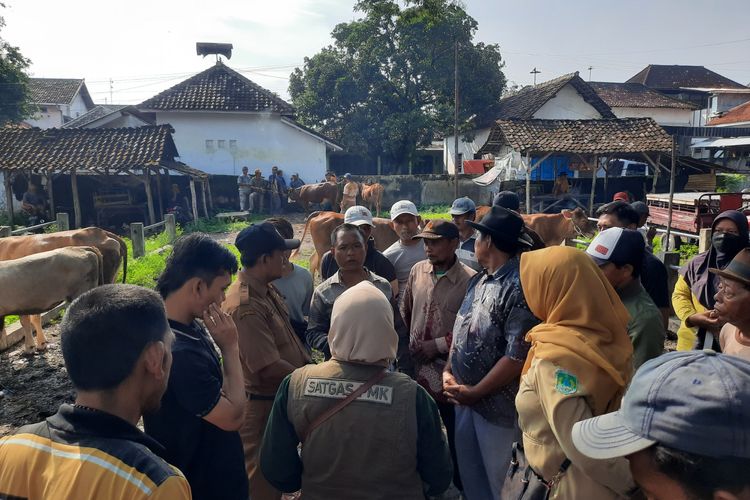 Petugas Dinas Pertanian dan Kesehatan Hewan Kabupaten Pasuruan sedang melakukan sosialisasi dan pengawasan pada peternak dan pembeli sapi terkait penyebaran PMK, Rabu (15/01/2025) 