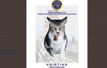 Tangkapan layar unggahan soal Kristina, kucing pegawai di Dishub Sumatera Selatan