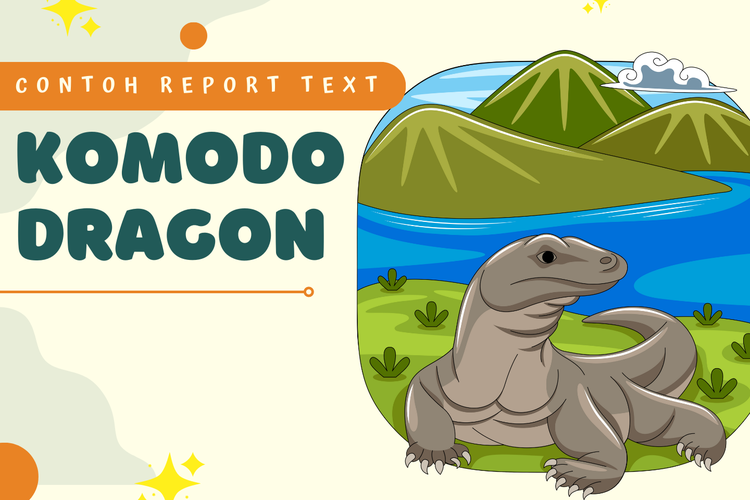 Ilustrasi report  text tentang komodo dragon