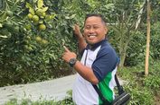 Kisah Narji Jadi Petani, Ini Komoditas yang Ditanam dan Pemasarannya