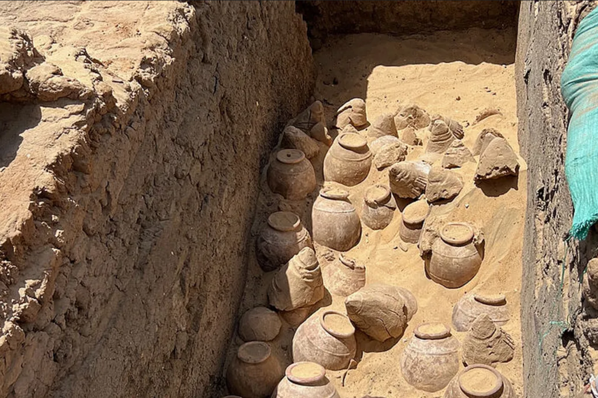 Toples berisi anggur yang ditemukan di makam ratu Mesir kuno Meret-Neith. Sisa anggur ini diketahui berusia 5.000 tahun.