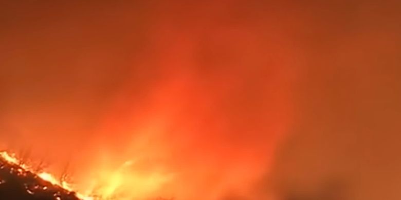 Berita Terkini Harian Fenomena Firenado Di Kebakaran Los Angeles ...