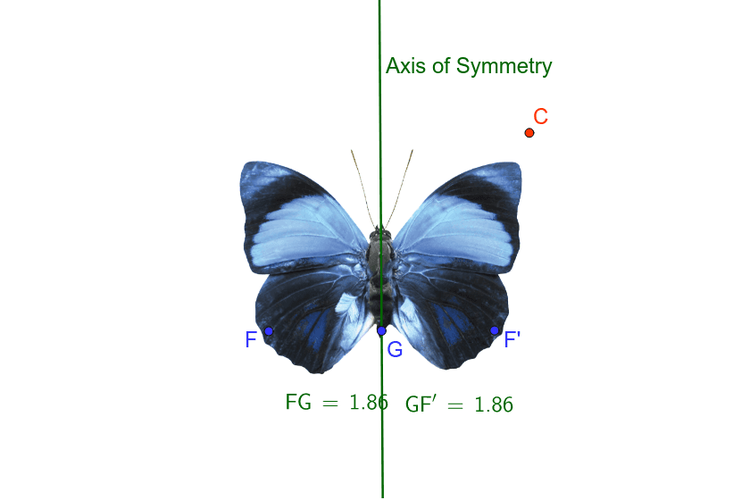 Sebuah bentuk simetri axial merupakan contoh penerapan transformasi geometri pencerminan.