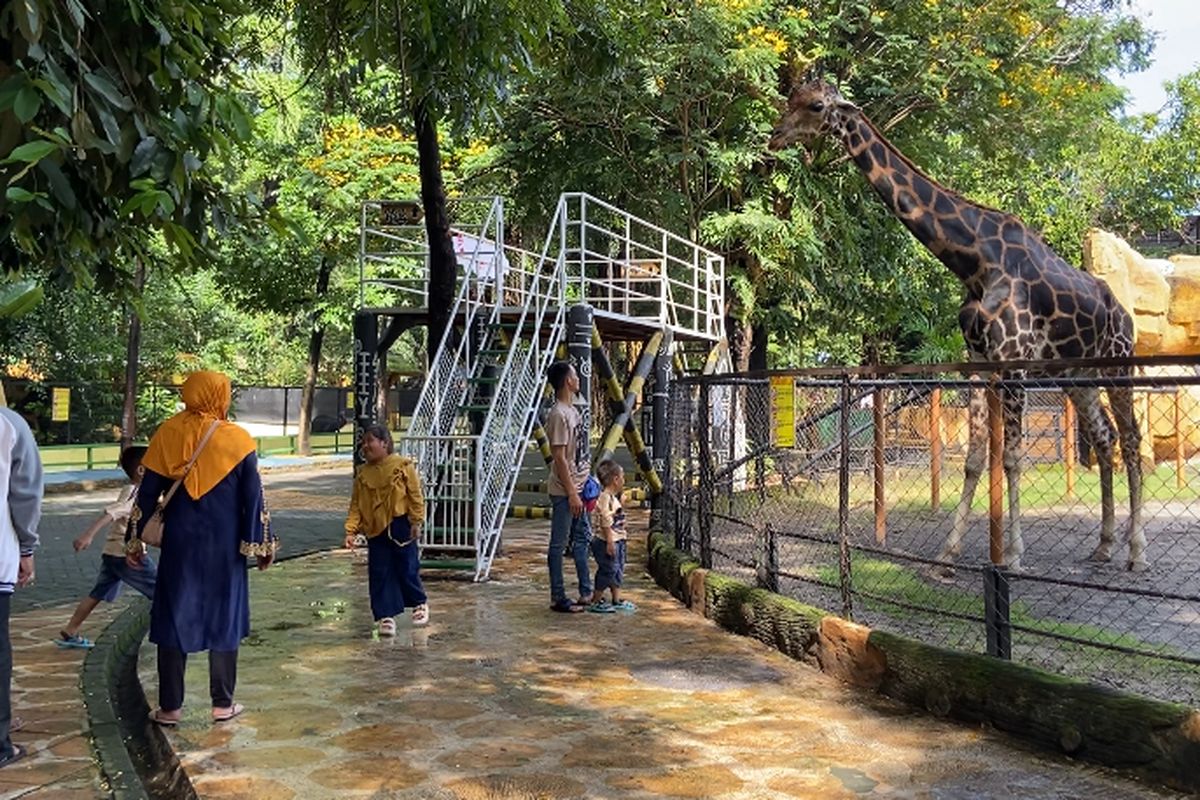 Suasana pengunjung di Kebun Binatang Surabaga saat libur panjang Idul Fitri 2025, Selasa (1/4/2025).