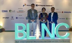 Dorong Pengembangan Penanganan Stroke, Konferensi Neurovascular BLINC Digelar di Bali