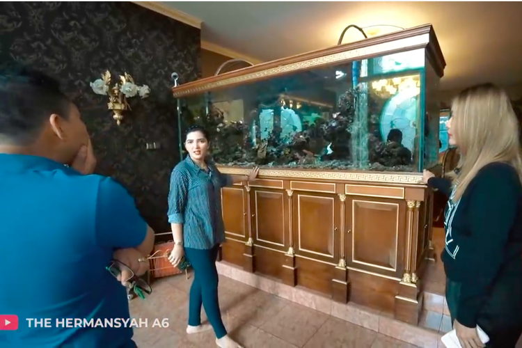 Ashanty dan Anang Hermansyah mengagumi aquascape di rumah Inul Daratista.