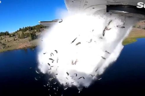 Negara Bagian AS Pakai Pesawat untuk Bikin Hujan Ikan, Buat Apa?
