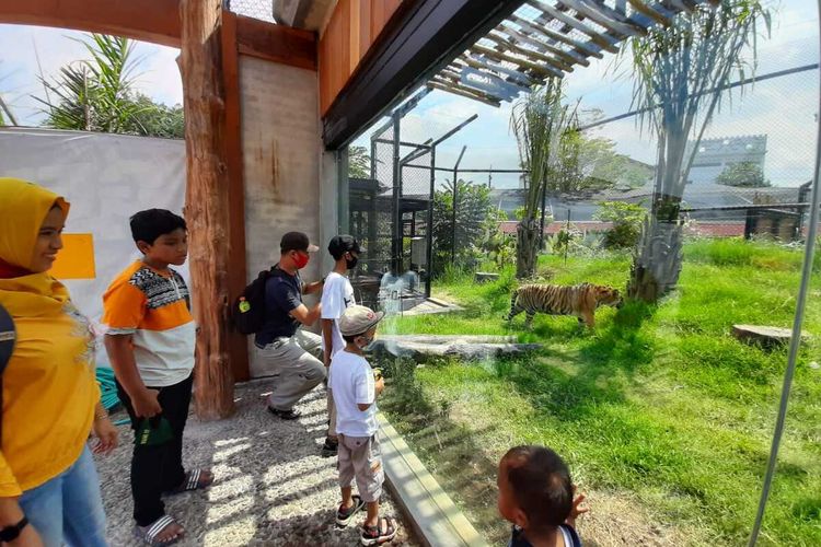 Wisatawan saat sedang berwisata di Gembira Loka Zoo, Yogyakarta, salah satu tempat wisata dekat Malioboro yang bisa dikunjungi.