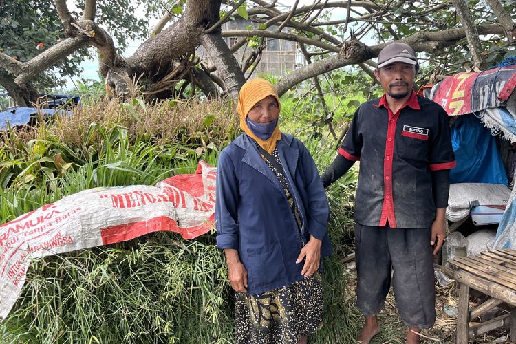 Kisah Pedagang Rumput Pakan Ternak di Malang, Banting Setir dari Pegawai Koperasi