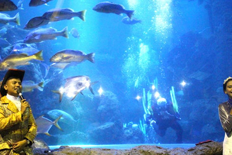 Wahana Main Aquarium di Seaworld Ancol.