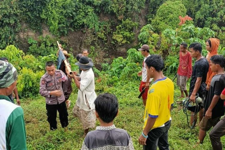 suasana evakuasi korban saat mencari pohon untuk dijadikan sebagai tanaman bonsai