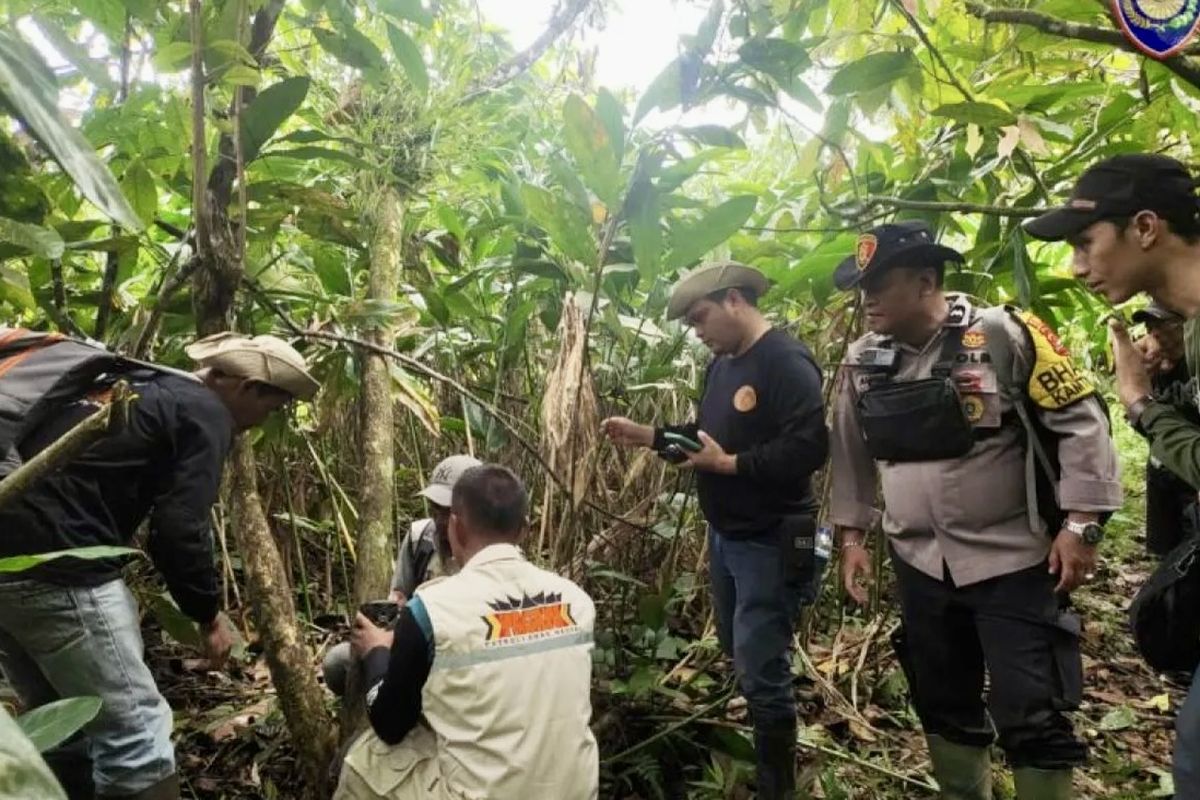 Tim gabungan saat melakukan identifikasi keberadaan dari satwa liar di Sipinang, Kecamatan Palembayan, Agam.