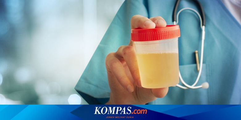 620 Koleksi Ikan Air Laut Banyak Minum Sedikit Urine Gratis