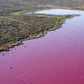 Foto Air Laguna Berubah Jadi Merah Muda, Diduga akibat Bahan Kimia