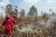 Air di Gambut Surut Imbas Kemarau, 15 Hektar Lahan di Perbatasan Jambi-Sumsel Terbakar