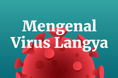 INFOGRAFIK: Mengenal Virus Langya yang Ditemukan di China