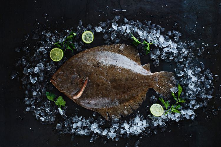 Ikan Turbot, salah satu ikan termahal di dunia yang dilombakan dalam ajang MasterChef Indonesia, Minggu (23/2/2020).