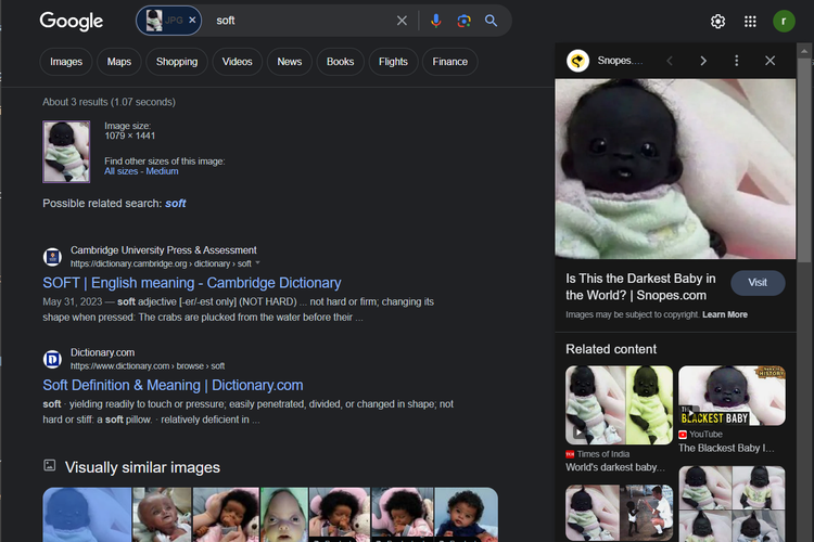 Tangkapan layar hasil pencarian gambar di Google, soal bayi paling hitam di Afrika Selatan. Faktanya, foto yang beredar merupakan boneka bayi gorila.