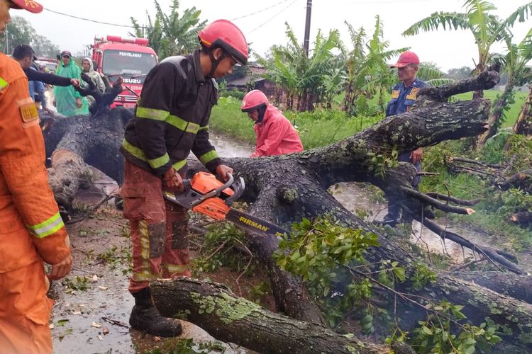 Sejak siang hari wilayah Kabupaten Bandung dan sekitarnya pada Kamis (10/3/2022) diterjang hujan deras dan angin ribut hal ini menyebabkan tiga pohon tumbang di beberapa titik