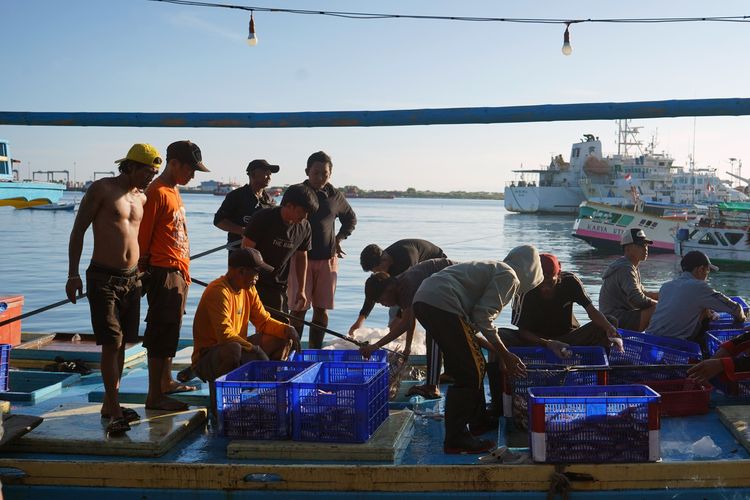 Guru Besar IPB Kembangkan Lampu LED untuk Tangkap Ikan di Laut tanpa Umpan