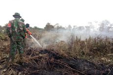 36 Hektar Lahan di Bengkalis dan Dumai Terbakar