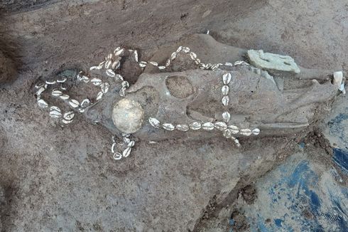 24 Makam Kuno Berisi Kereta Kuda hingga Kepala Kuda Berlapis Emas Ditemukan di China