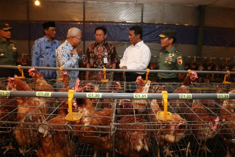 Menteri Pertanian Andi Amran Sulaiman saat kunjungan kerja ke Balai Besar Pelatihan Peternakan (BBPP) Batu, Malang, Selasa (17/7/2018).