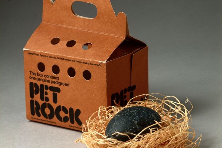 Pet Rock