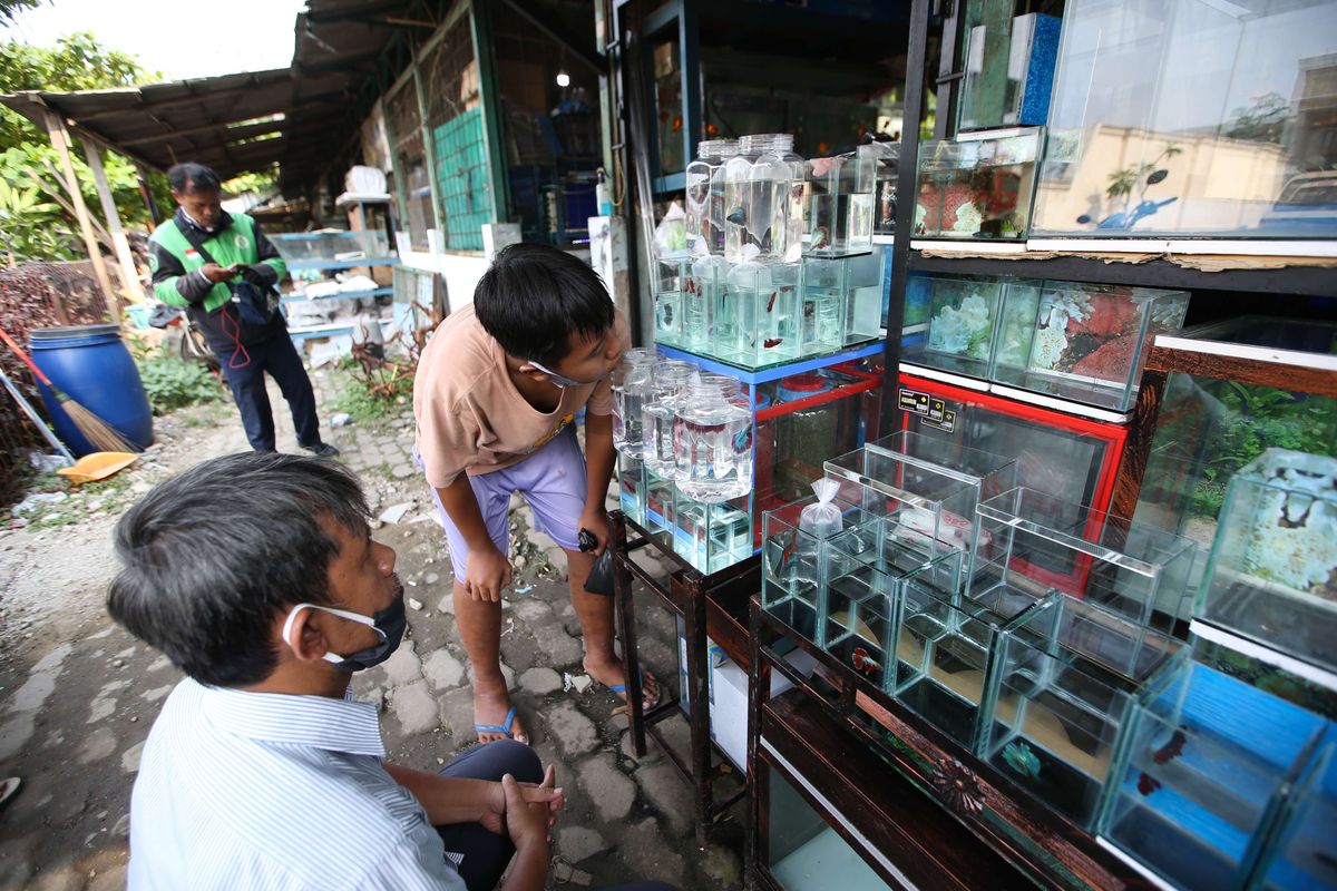 Pasar adalah lokasi bertemunya penjual dan pembeli