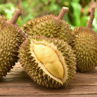Ilustrasi buah durian yang manis dan legit
