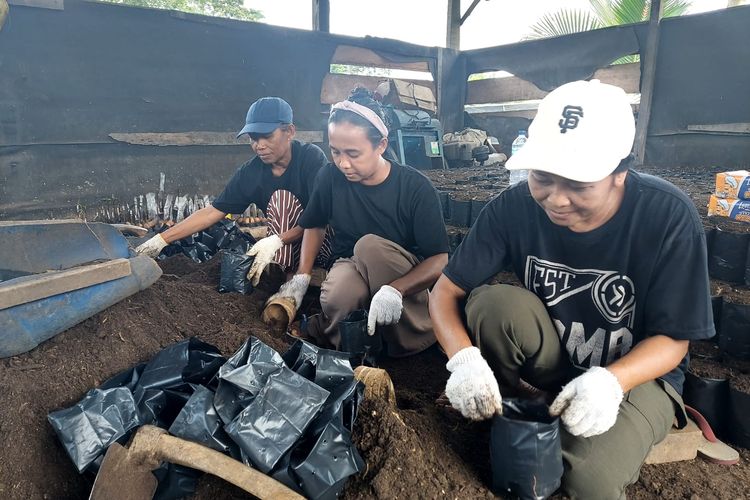 Sejumlah pekerja pembibitan pohon sedang mengisi polybag dengan media tanam