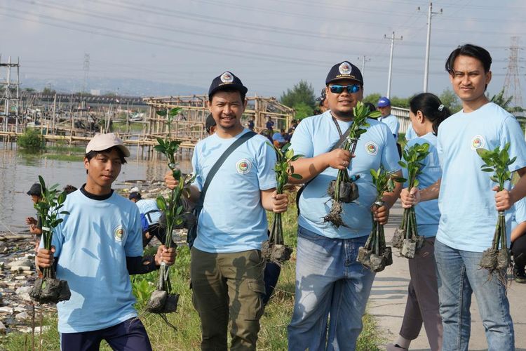 Pelindo menanam 1.500 bibit mangrove di kawasan pesisir Tambak Lorok, Semarang, Jawa Tengah. 