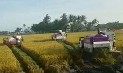 Kementan-Perteta Bangun Gudang Alsintan di Konawe Selatan