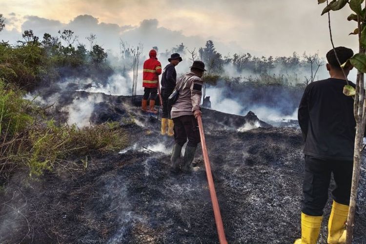 Laporkan Pembakar Hutan dan Lahan di Natuna, Warga Akan Dapat Rp 5 Juta