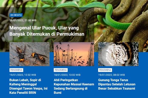 [POPULER SAINS]: Mengenal Ular Pucuk | Sopir Kalteng Meninggal Disengat Tawon Vespa | Kepunahan Massal Keenam