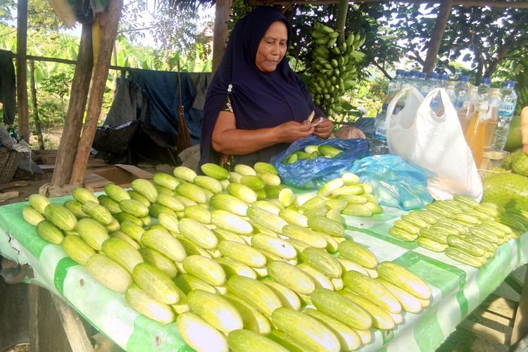 Pedagang timun di Desa Simpang Betong, Kecamatan Laweung, Pidie, Kamis (24/10/2019)