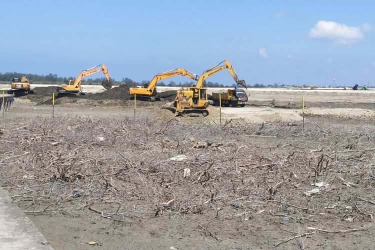 Foto: Pelindo III melakukan reklamasi di Pelabuhan Benoa, tampak pogon Mangrove mengering dan ditebang. Rencananya di lokasi tersebut kaan dibangun Pura sebagai sarana Melasti