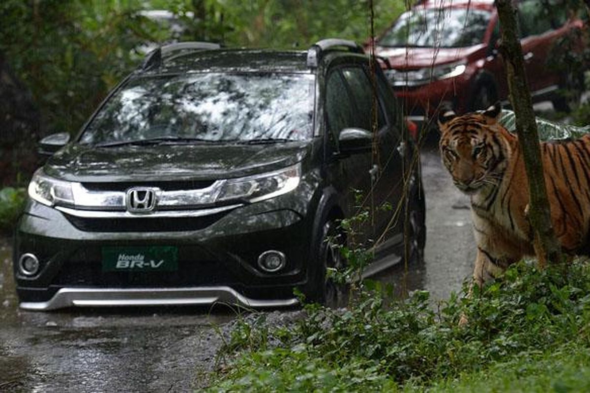 Test Drive Honda BR-V