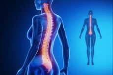 Osteoporosis: Pengertian, Penyebab, dan Cara Pengobatannya