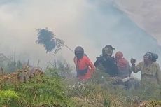 10 Hektar Lahan di Hutan TNBTS Terbakar