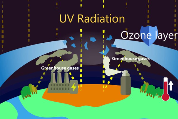 Penyebab Lapisan Ozon Menipis Halaman All Kompas Com