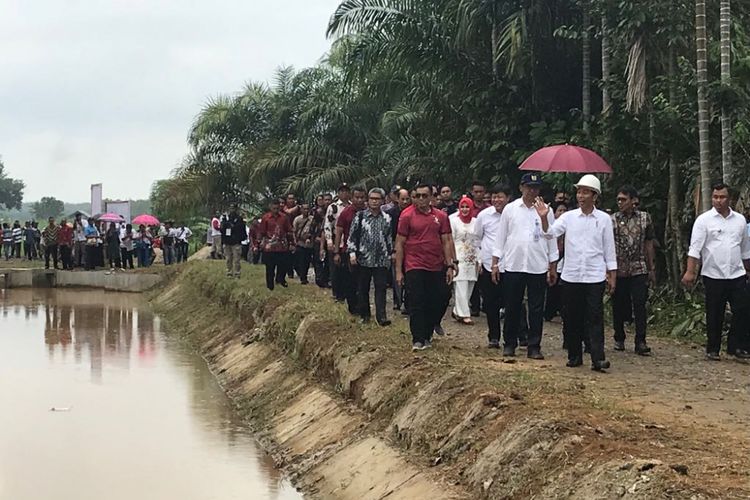 Presiden Joko Widodo saat meninjau pemanfaatan tata guna air irigasi di Kecamatan Sitiung, Kabupaten Dharmasraya, Sumatera Barat, Rabu (7/2/2018).